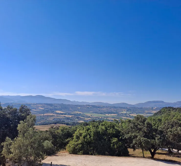 Views from Bodega La Malonera