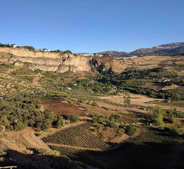 bodega descalzos viejos views