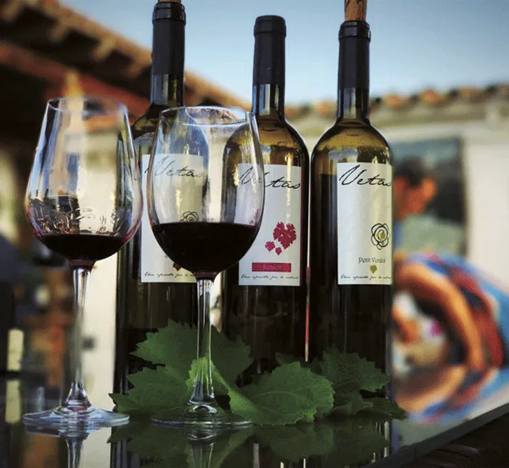 bodega vetas wines