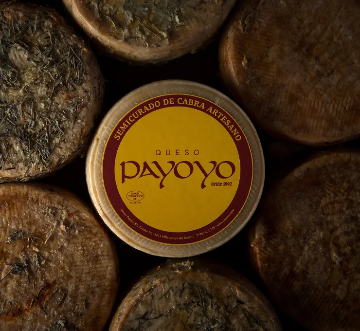 A photo of spanish payoyo cheeses