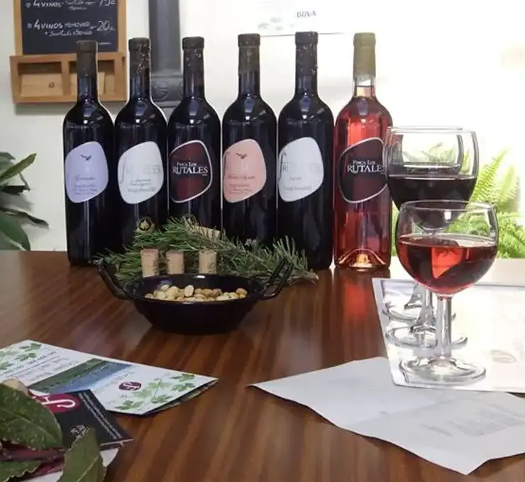 Bodega Joaquín Fernández wines