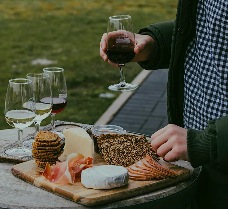 Wine and food tasting in Spain